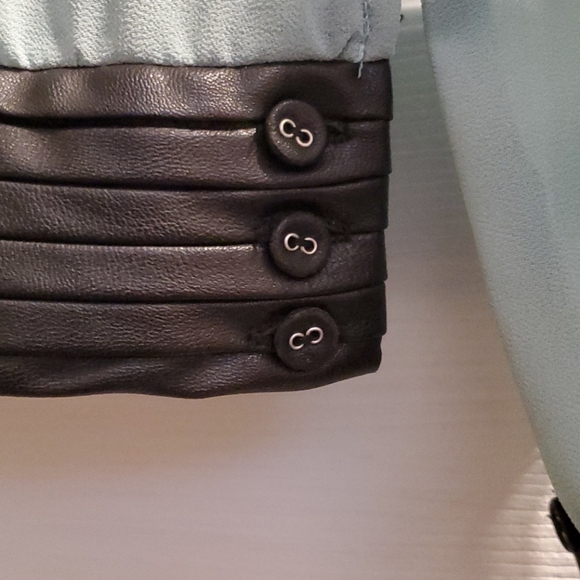 Sheer Blouse - Picture 5 of 8